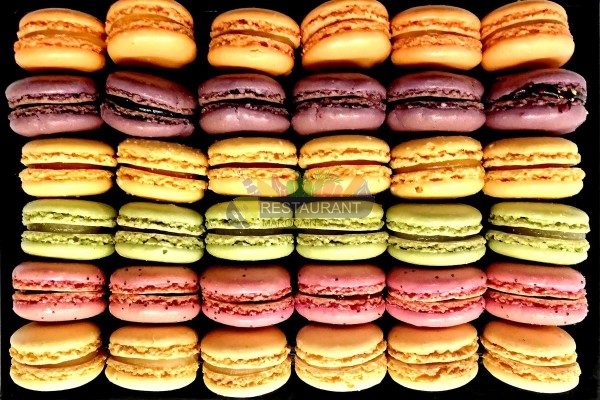 Macarons Exquis
